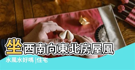 坐西南向東北風水|【風水學必備】坐東北朝西南是什麼宅？教你用風水原則打造住宅。